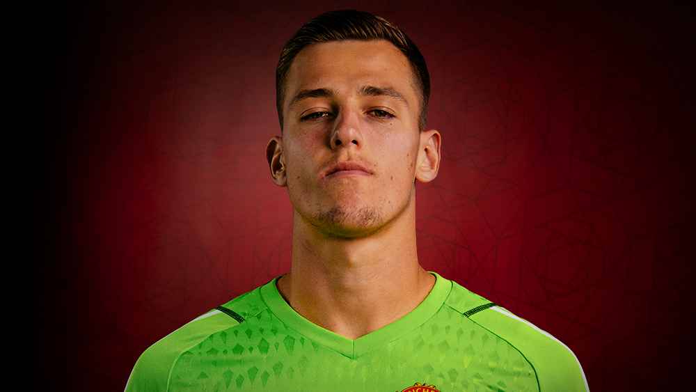 Radek Vitek