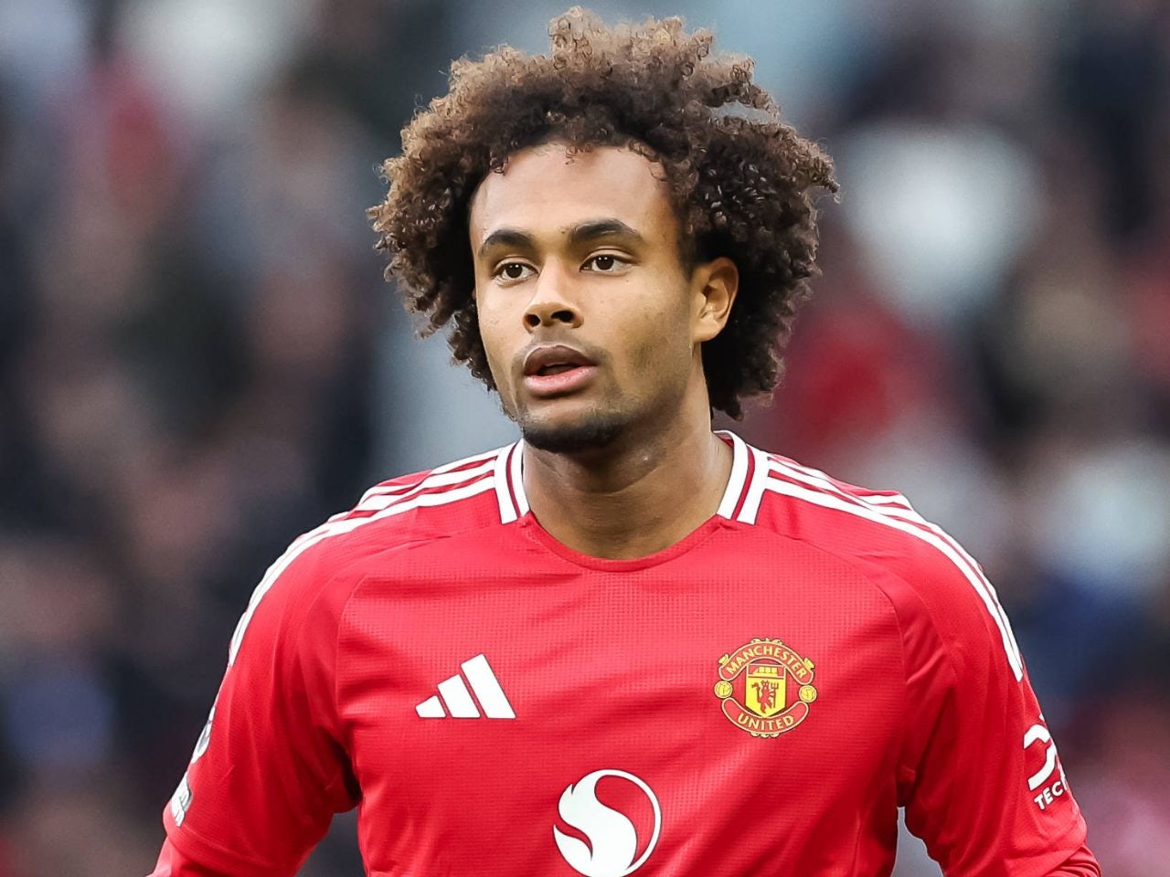 Zirkzee meminta maaf kepada penggemar Manchester United setelah kekalahan Piala FA